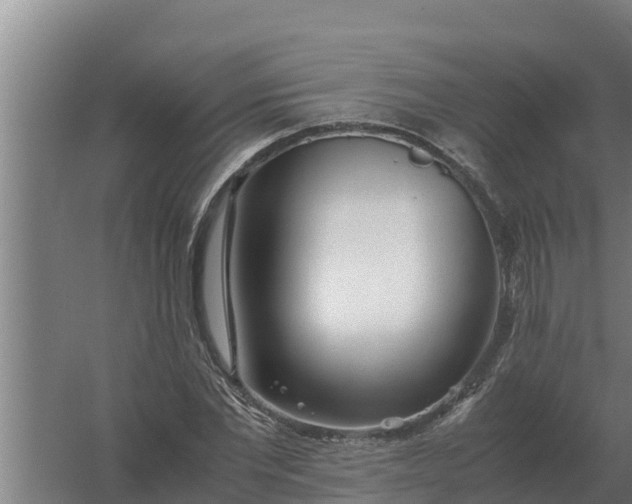 X0000059830877200511041743