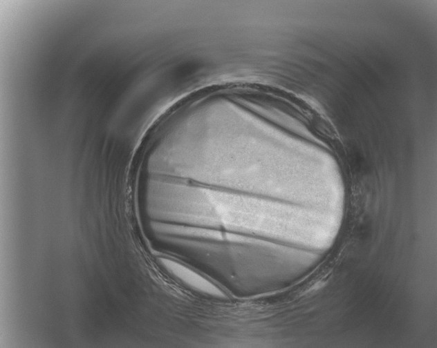 X0000059830879200511041743