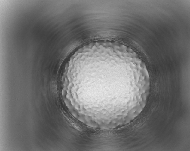X0000059830882200511041743