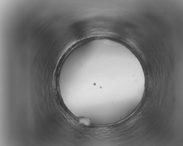 X0000059830883200511041743