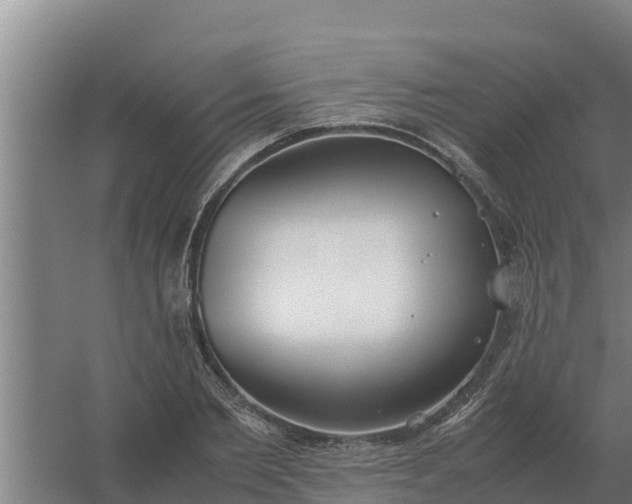 X0000059830885200511041743