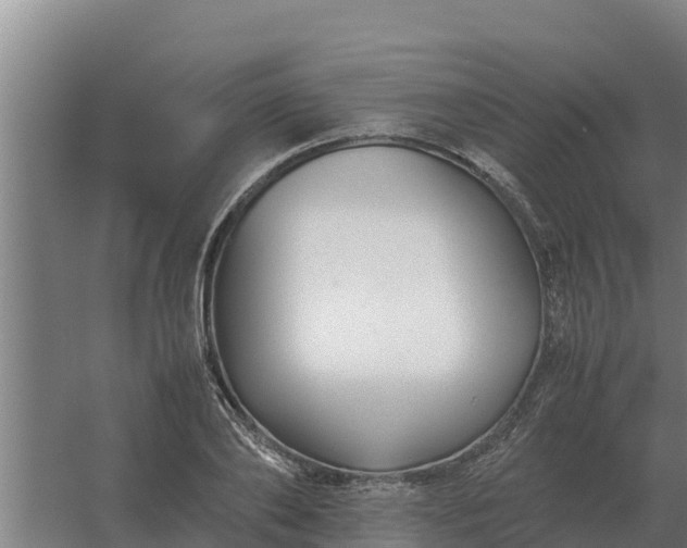 X0000059830886200511041743