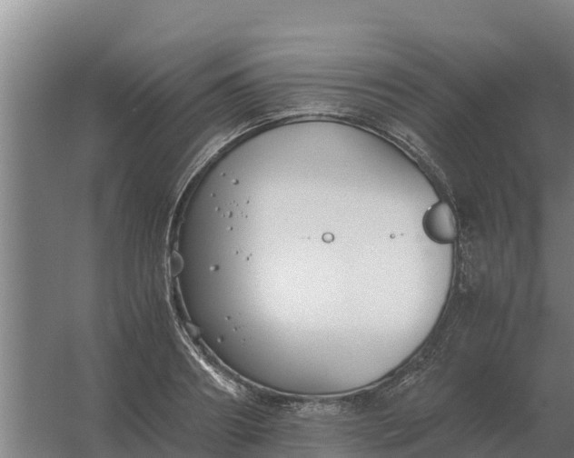 X0000059830890200511041743