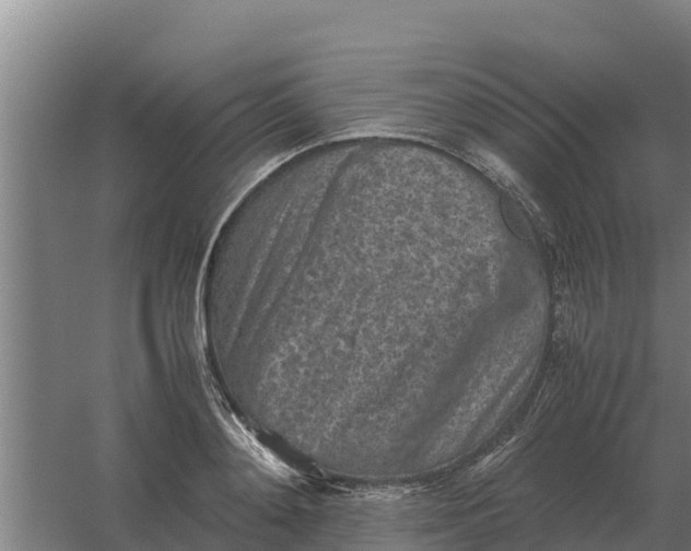 X0000059830892200511041743