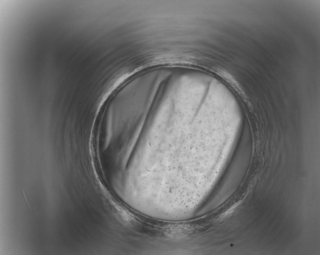 X0000059830893200511041743