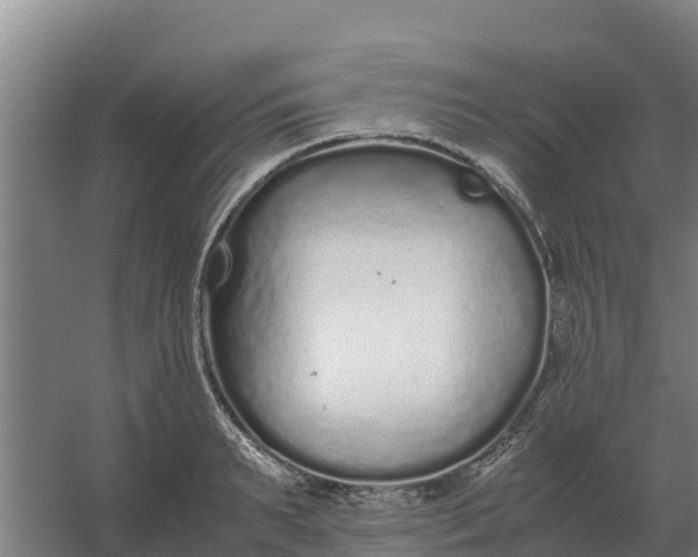 X0000059830895200511041743