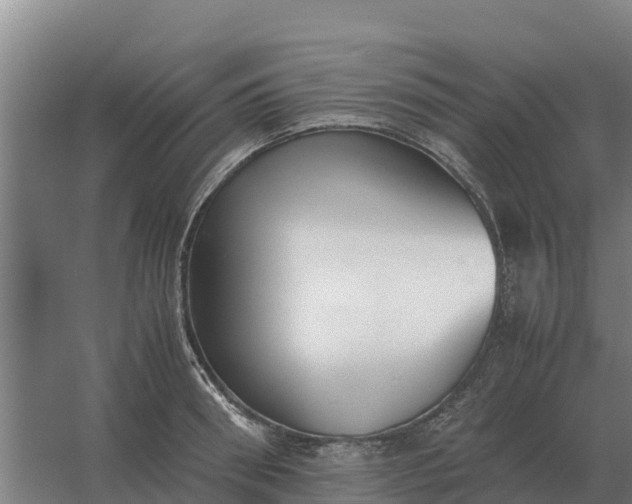 X0000059830898200511041743