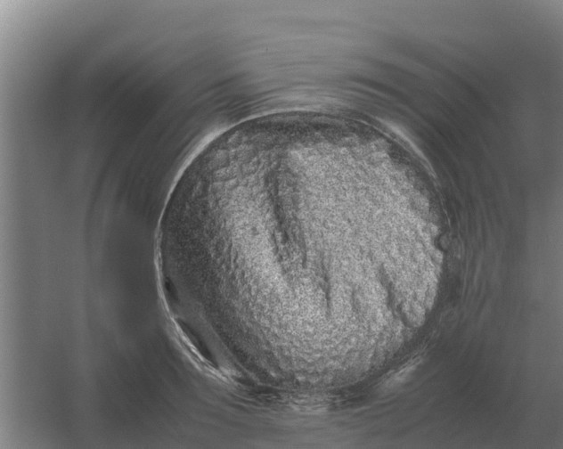 X0000059830899200511041743