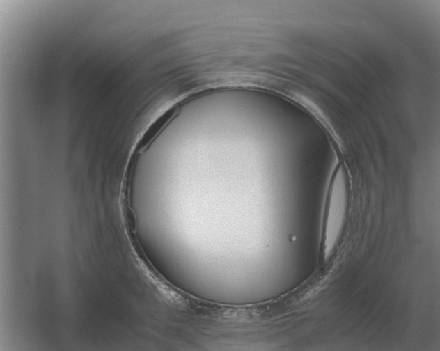 X0000059830901200511041743