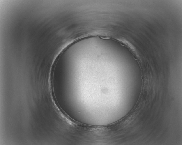 X0000059830902200511041743