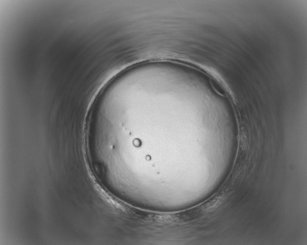 X0000059830903200511041743