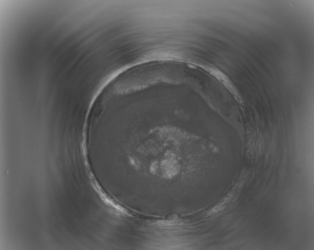 X0000059830904200511041743