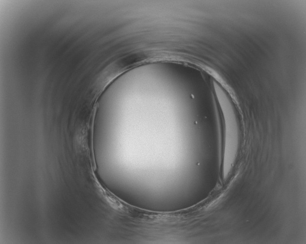 X0000059830905200511041743