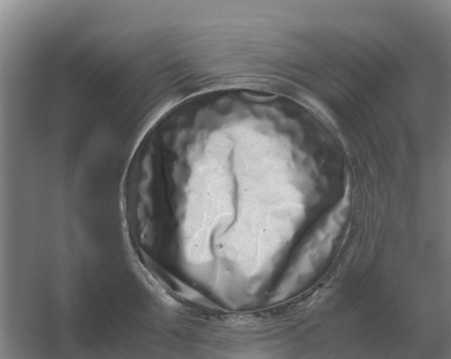 X0000059830907200511041743