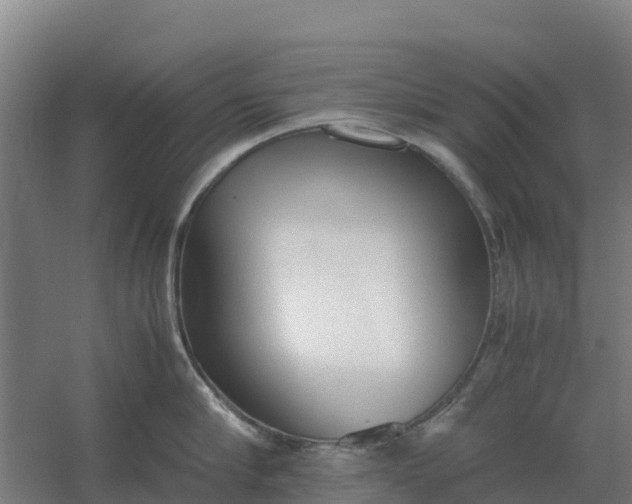 X0000059830910200511041743