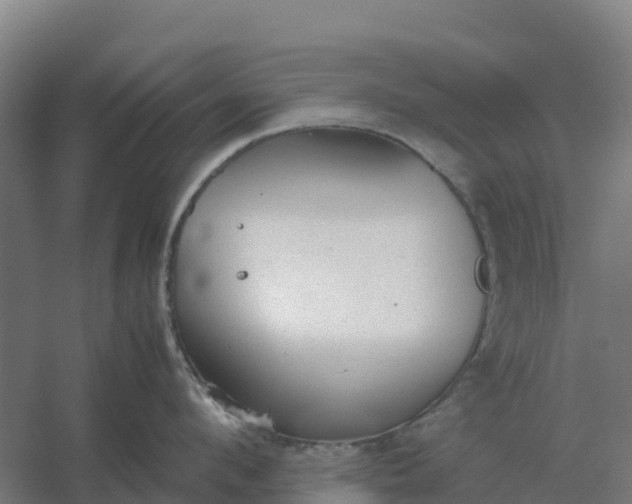 X0000059830912200511041742