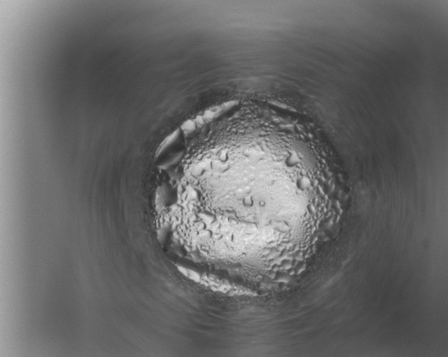 X0000059830913200511041742