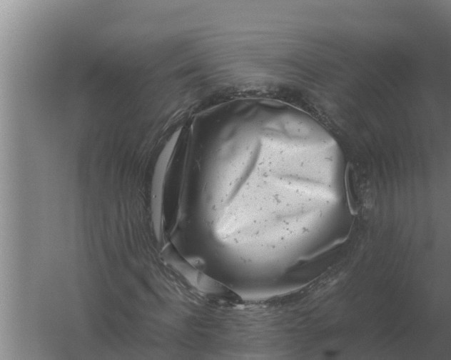 X0000059830916200511041742