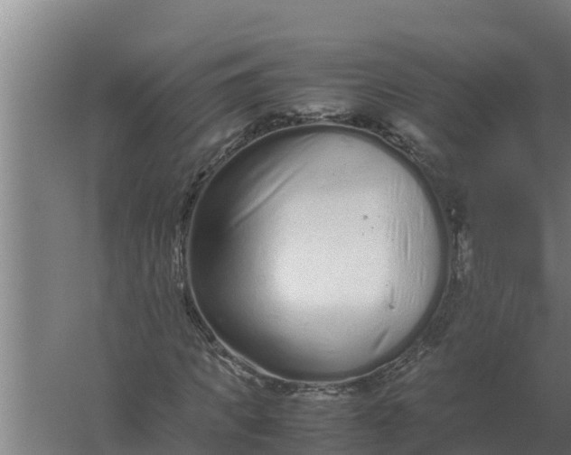 X0000059830917200511041742