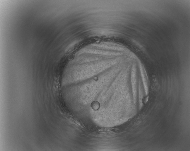 X0000059830918200511041742