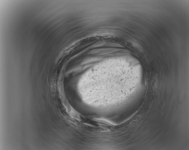 X0000059830920200511041742