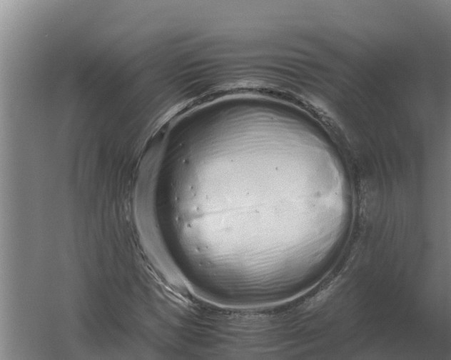 X0000059830921200511041742