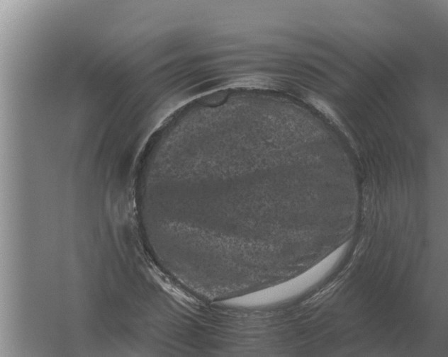 X0000059830923200511041742