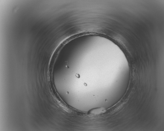 X0000059830924200511041742