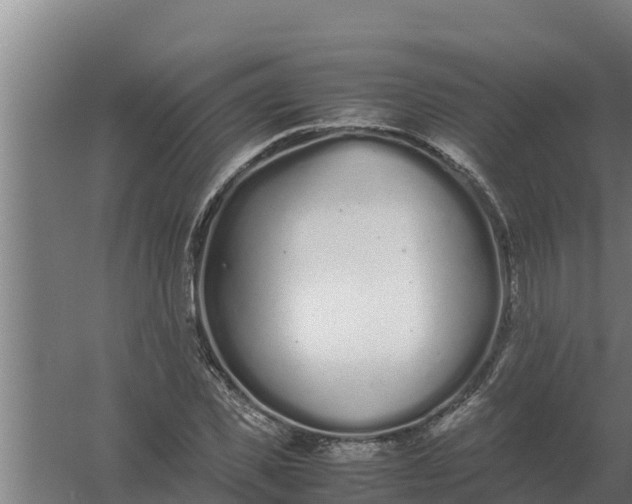 X0000059830925200511041742