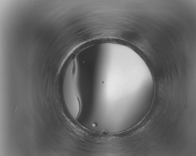 X0000059830926200511041742