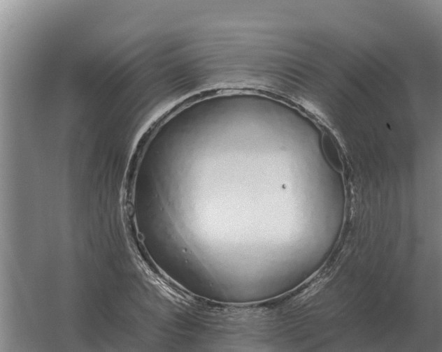 X0000059830928200511041742