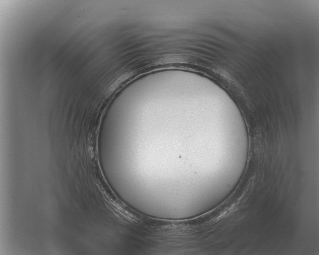 X0000059830929200511041742