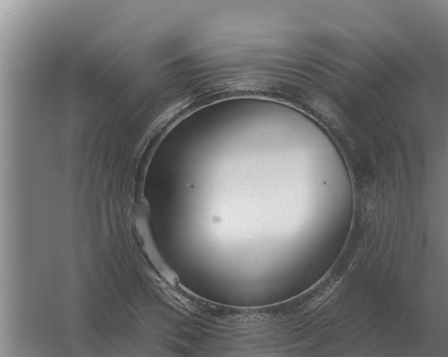 X0000059830930200511041742