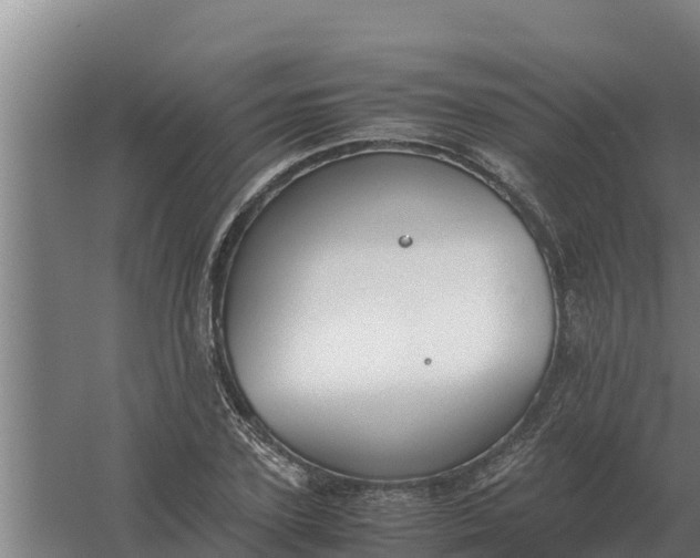 X0000059830931200511041742