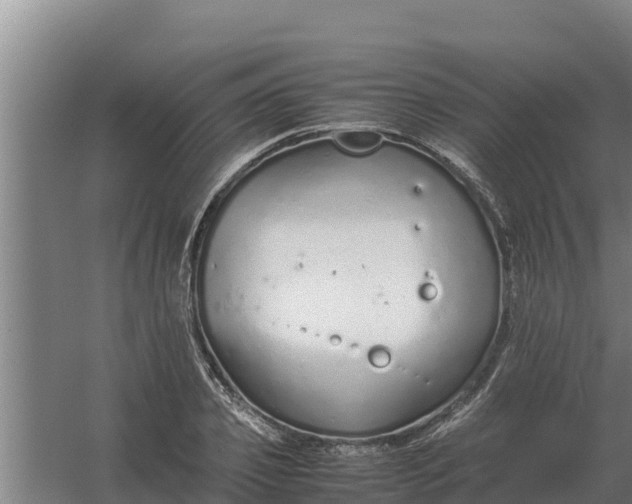 X0000059830933200511041742