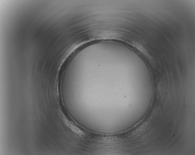 X0000059830934200511041742