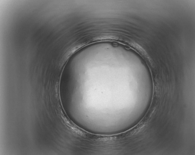 X0000059830937200511041742