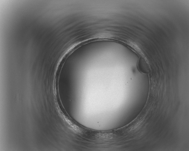 X0000059830939200511041742