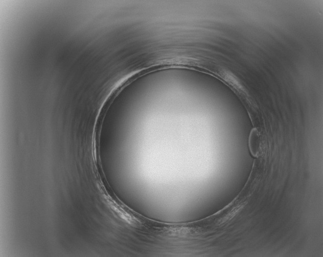 X0000059830940200511041742