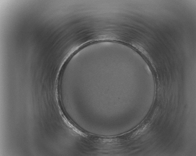 X0000059830941200511041742