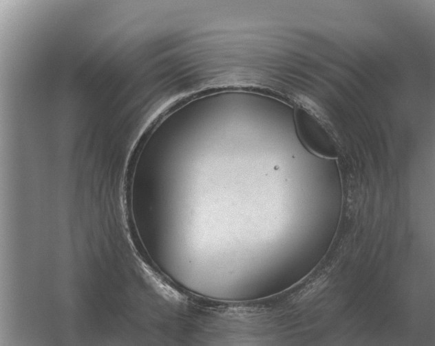 X0000059830942200511041742