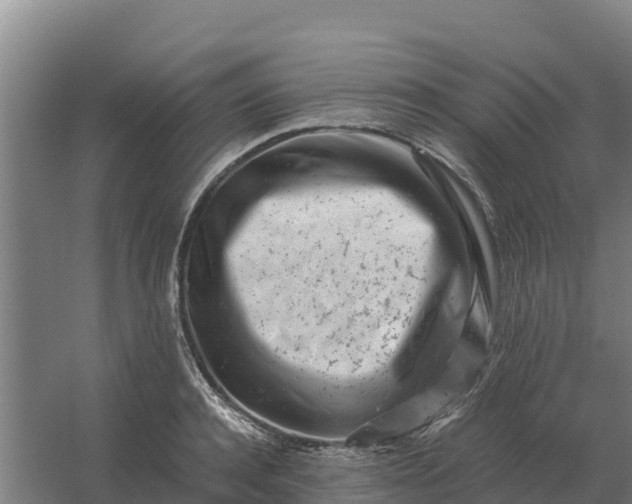 X0000059830944200511041742