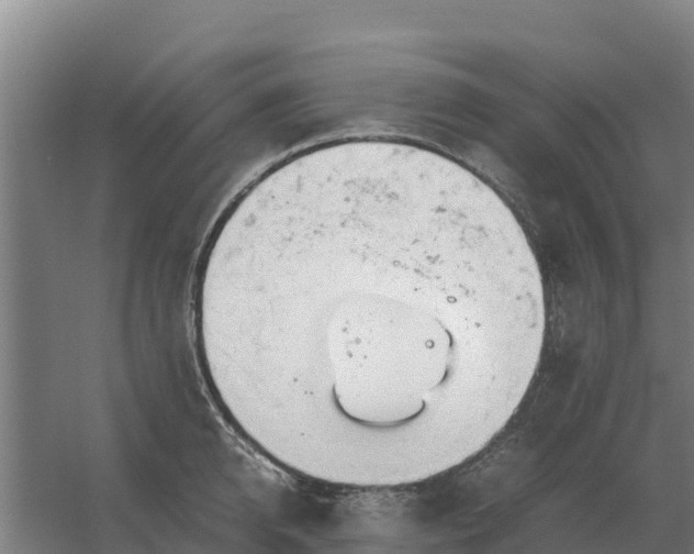 X0000059830950200511041742