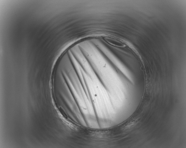 X0000059830951200511041742