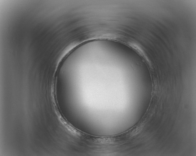 X0000059830952200511041742