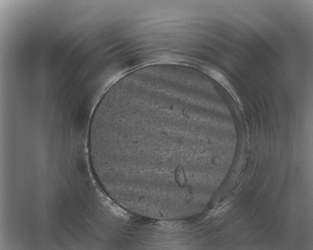 X0000059830954200511041742