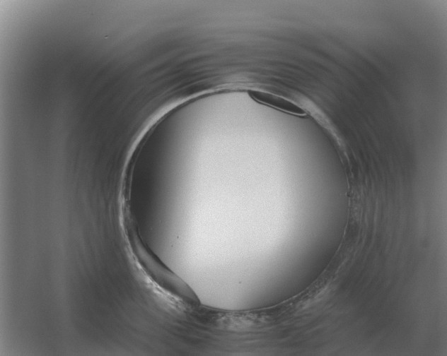 X0000059830955200511041742