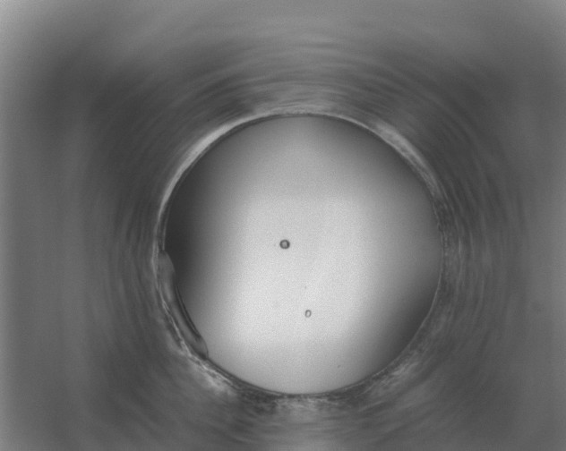 X0000059830956200511041742