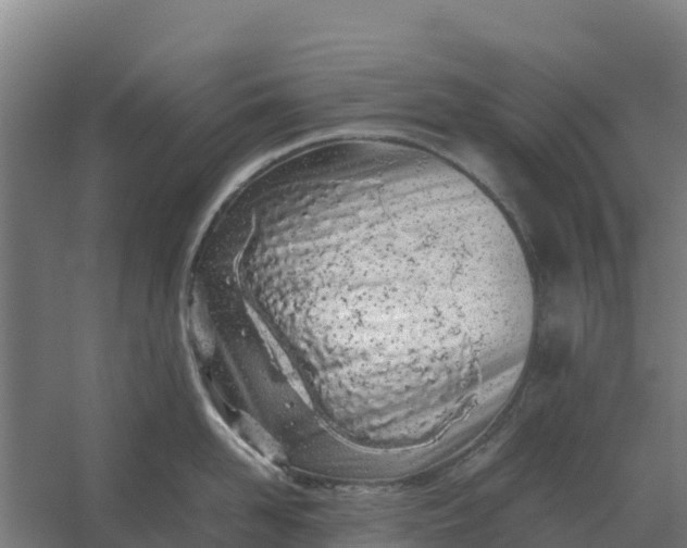 X0000059830958200511041742