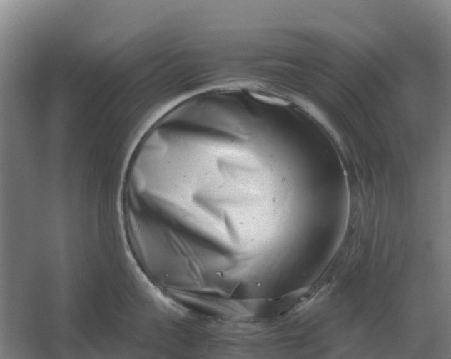 X0000059830959200511041742